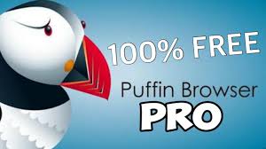 PUFFIN BROWSER PRO